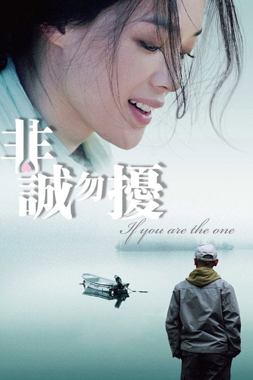 Постер 非诚勿扰 (2008)