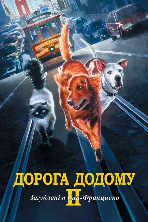 Постер Дорога додому II: Загублені в Сан-Франциско (1996)