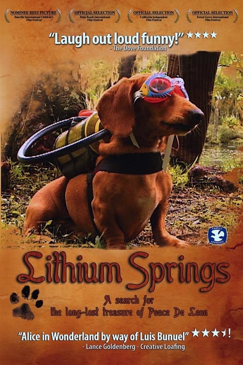 Постер Lithium Springs (2004)