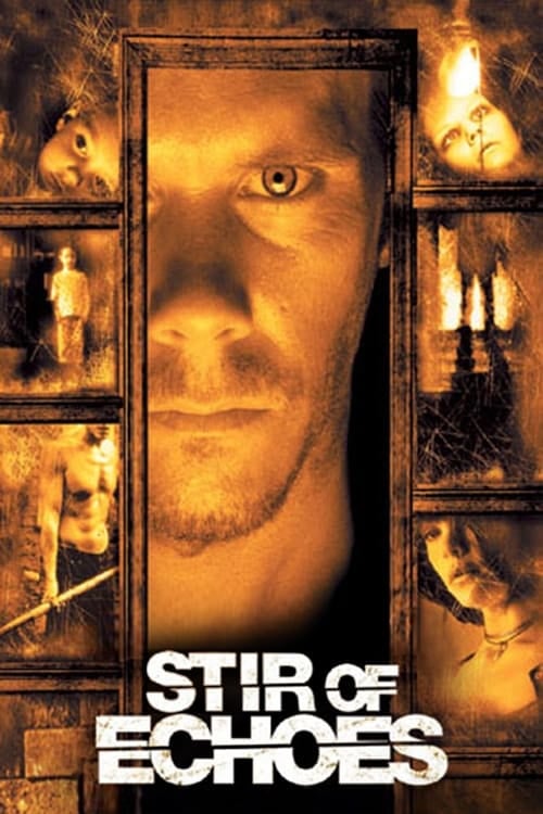 Постер Stir of Echoes (1999)