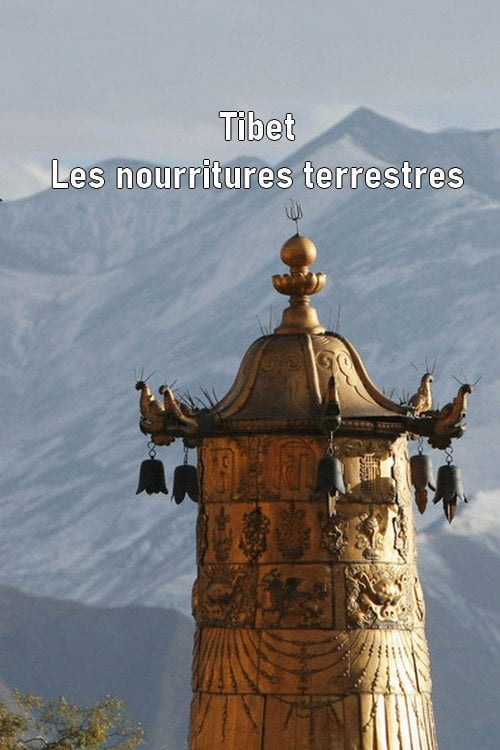 Постер Tibet - Les nourritures terrestres (2011)