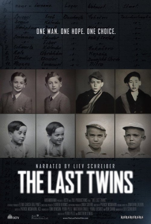 Постер The Last Twins (2025)