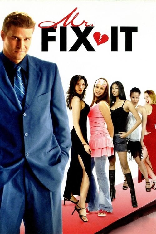Постер Mr. Fix It (2006)