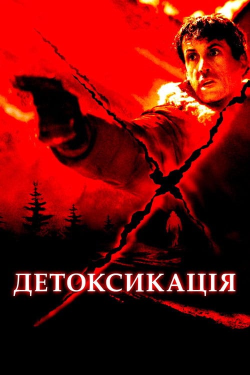 Постер Детоксикація (2002)