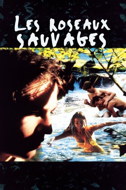 Постер Les Roseaux sauvages (1994)