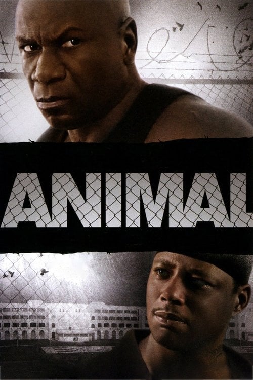Постер Animal (2005)