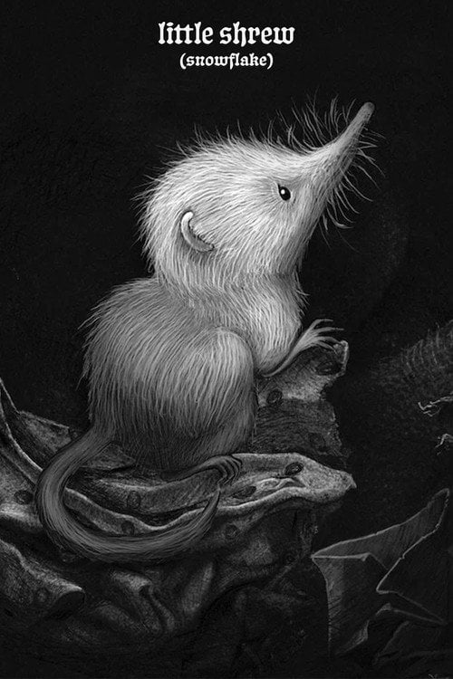 Постер Little Shrew (Snowflake) (2025)