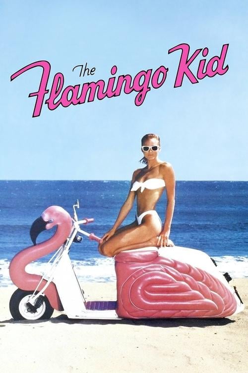 Постер The Flamingo Kid (1984)