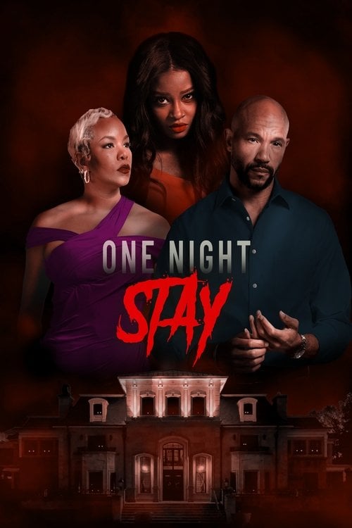 Постер One Night Stay (2024)