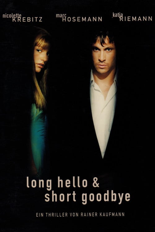 Постер Long Hello and Short Goodbye (1999)