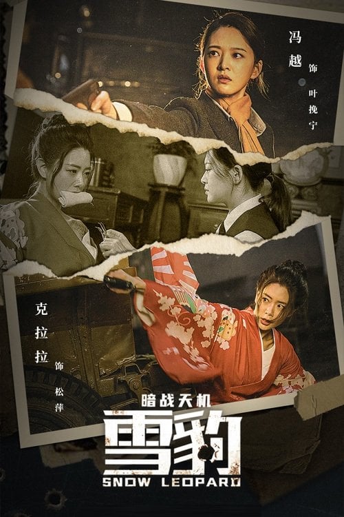 Постер 雪豹之暗战天机 (2021)
