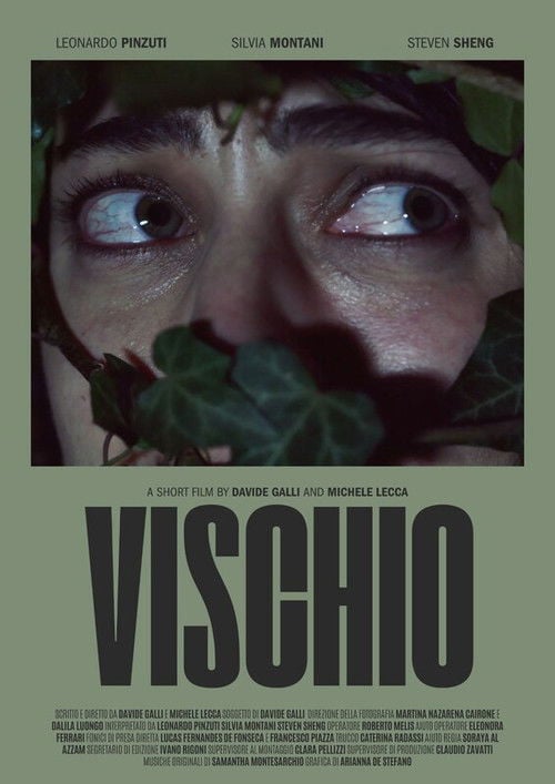 Постер Vischio (2025)