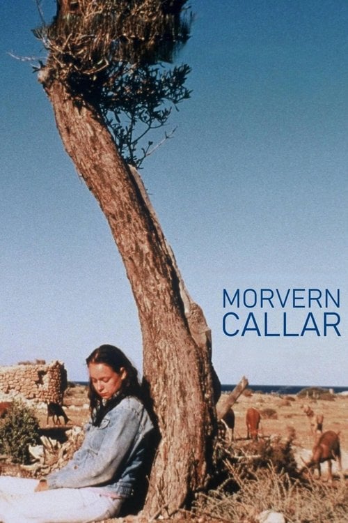 Постер Morvern Callar (2002)