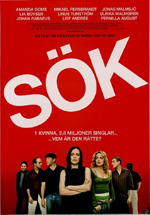 Постер Sök (2006)
