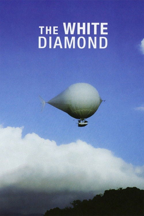 Постер The White Diamond (2004)