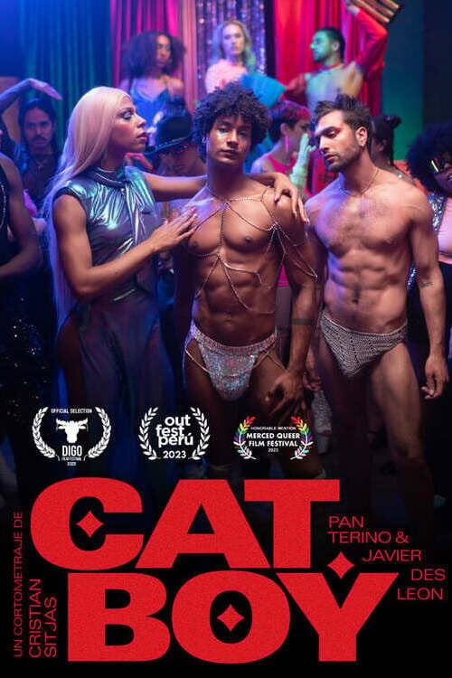 Постер CatBoy (2023)