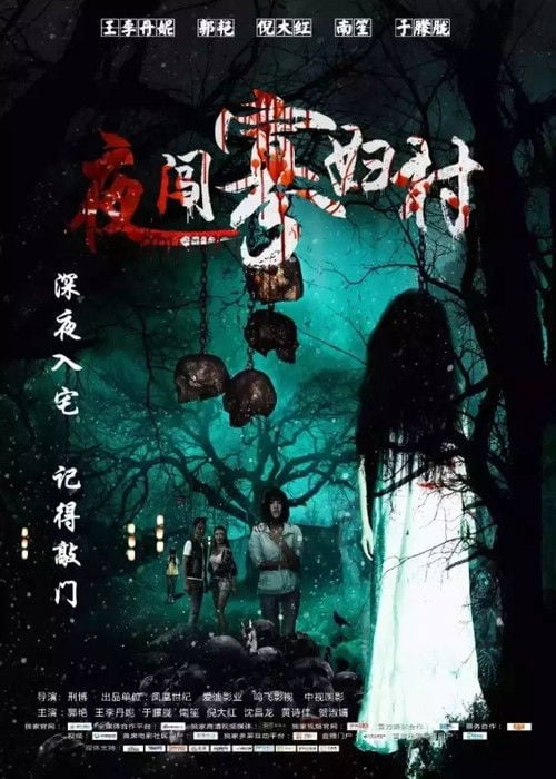 Постер 夜闯寡妇村 (2017)