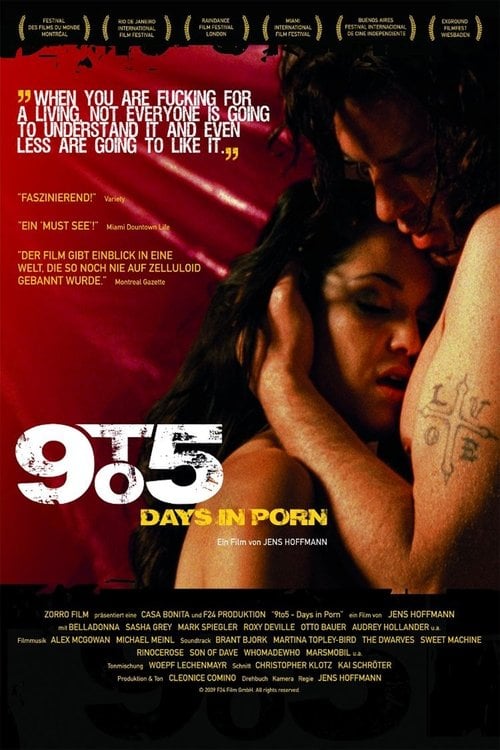 Постер 9to5: Days in Porn (2008)