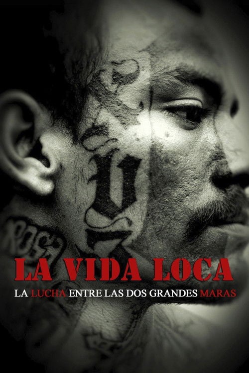 Постер La vida loca (2008)